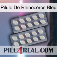 Pilule De Rhinocéros Bleu 07